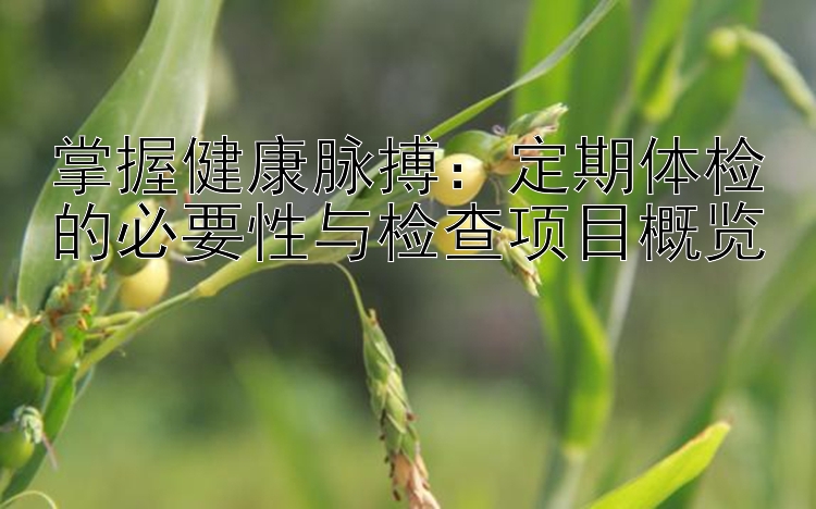 掌握健康脉搏：定期体检的必要性与检查项目概览