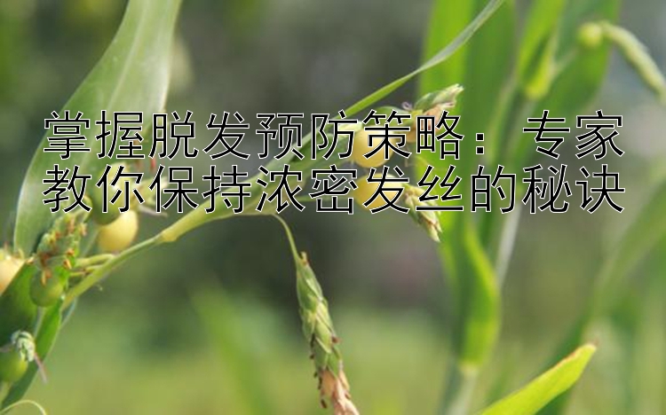 掌握脱发预防策略：专家教你保持浓密发丝的秘诀