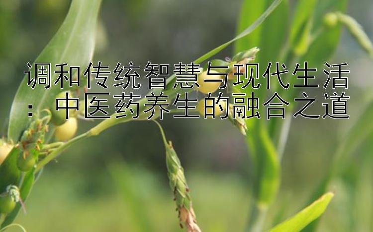 调和传统智慧与现代生活：中医药养生的融合之道