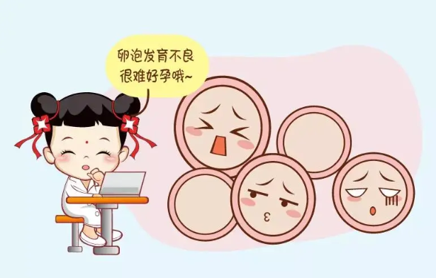 《备孕佳选：三种促排卵食物》